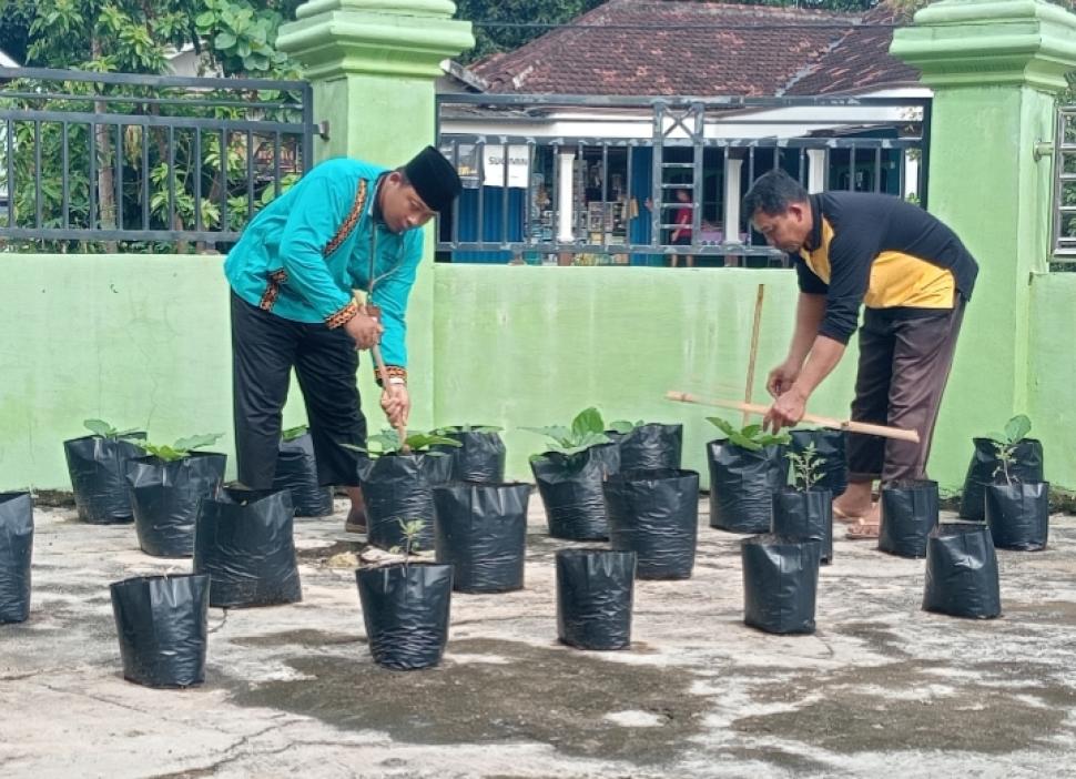 Program Hijau KUA Way Bungur: Pegawai Tanam Sayuran di lingkungan Kantor
