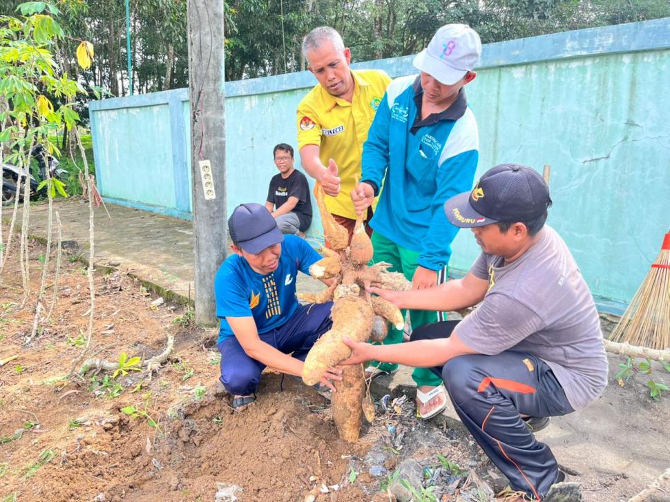 Ambil Peran Aktif dalam Penguatan Ketahanan Pangan, KUA Labuhan Ratu Maksimalkan pekarangan